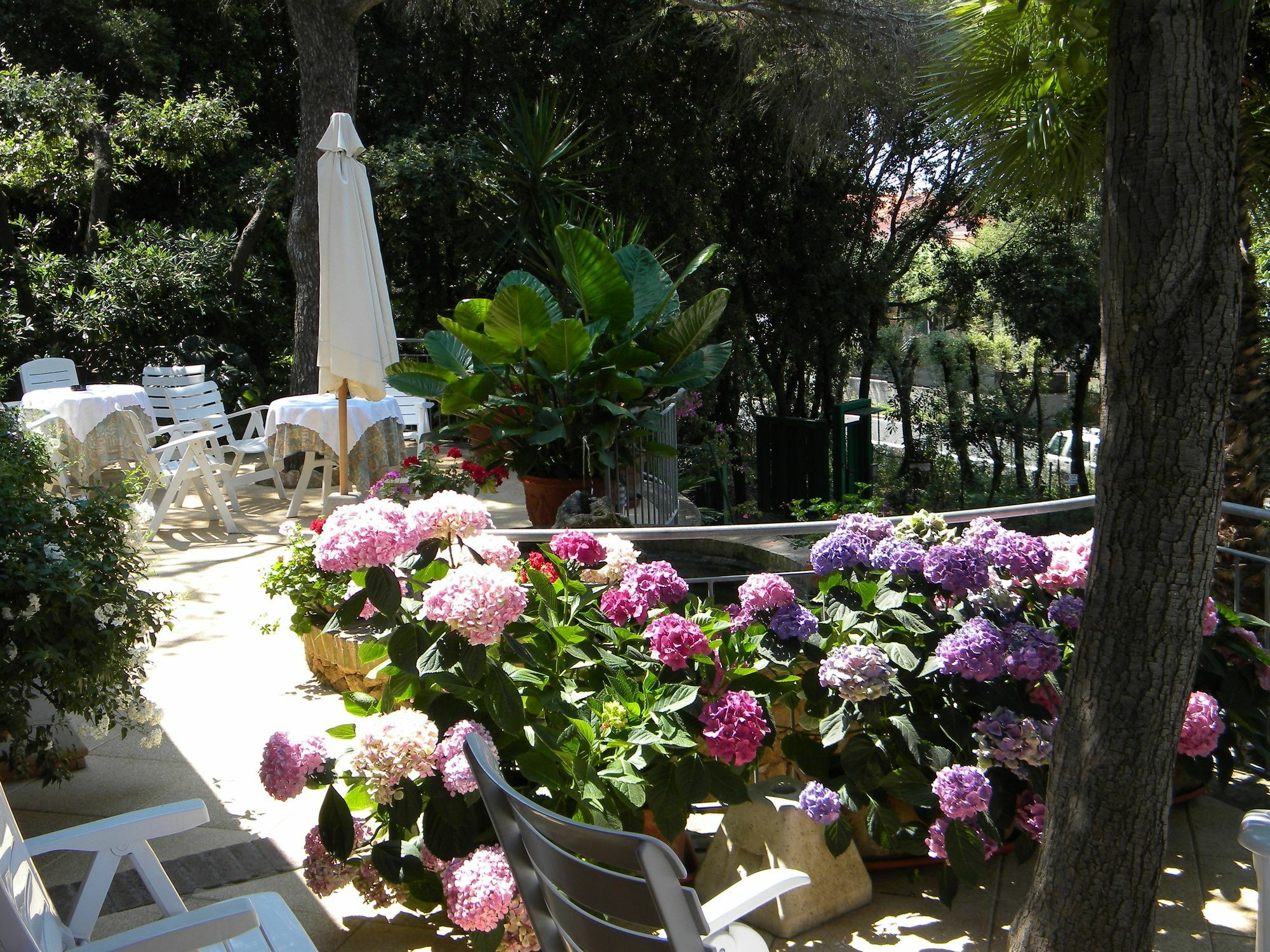 Hotel La Rosa Del Tirreno Livorno Exterior foto